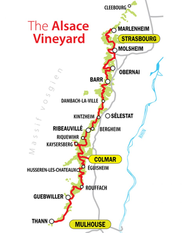 Alsace Şarap Yolu Rotası