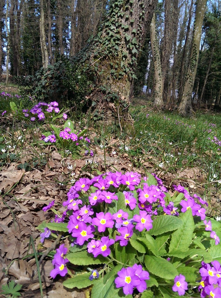 İlkbahar, Doğa Uyanıyor...