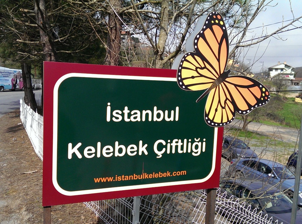 İstanbul Kelebek Çiftliği